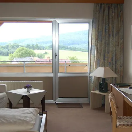 ホテル Landgasthaus Pfahl 2*