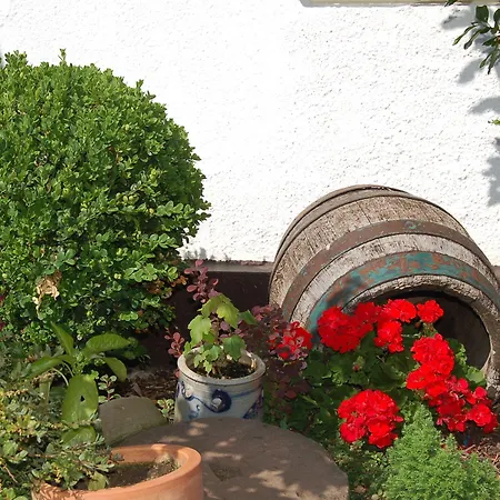 מלון Landgasthaus Pfahl