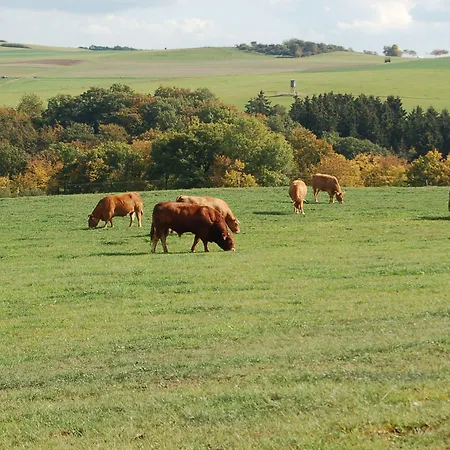 Landgasthaus Pfahl ホテル ヴェルスホーフェン