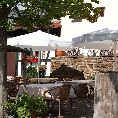 מלון Landgasthaus Pfahl 2*