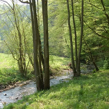 Landgasthaus Pfahl 2* Wershofen