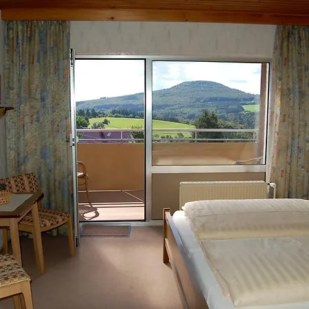 ホテル Landgasthaus Pfahl 2*