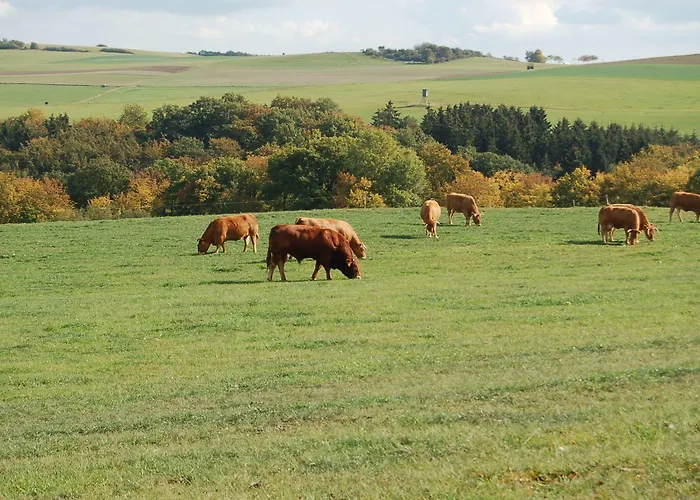 Landgasthaus Pfahl Hotel Wershofen